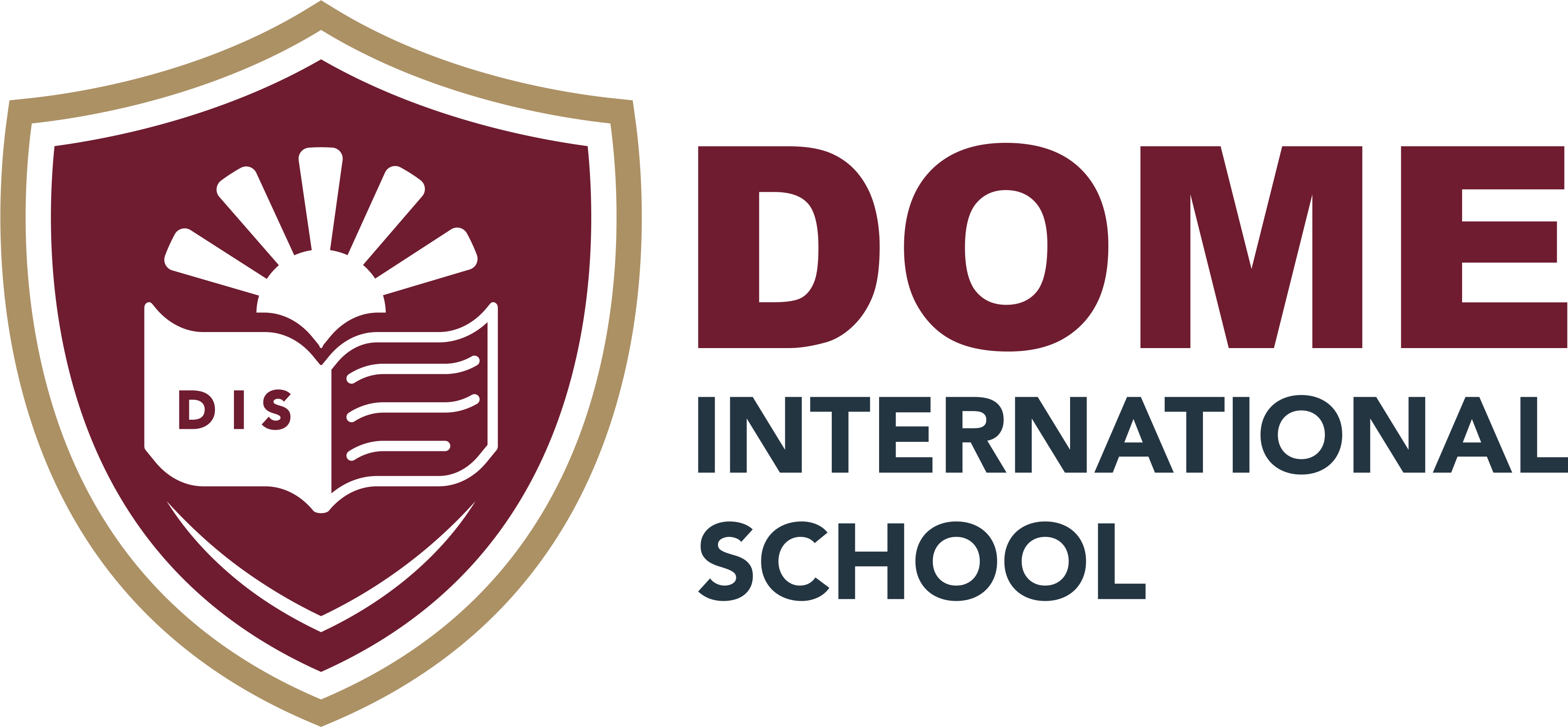 Dome International School